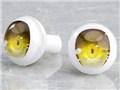 �˂�ǂ낢�ǂǁ[�� �ǁ[��A�C(Gold)