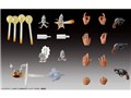 ������ �W���W���̊�Ȗ`�� ��5�� �O�C�[�h�E�~�X�^&S�EP [2024�N10��]