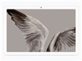 Google Pixel Tablet Wi-Fi���f�� 128GB GA06156-JP [Porcelain]