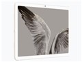 Google Pixel Tablet Wi-Fi���f�� 256GB �P�̔� [Porcelain]