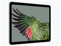 Google Pixel Tablet Wi-Fi���f�� 256GB �P�̔� [Hazel]