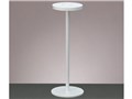 Z-LIGHT ZR-1NW [�z���C�g]