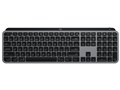 MX KEYS S for Mac KX800sMSG [�X�y�[�X�O���[]