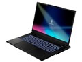 GALLERIA UL9C-R49-7 Core i9 13900HX/RTX 4090/17.3インチ QHD液晶 240Hz/32GBメモリ/1TB Gen4 SSD K/13022-11c