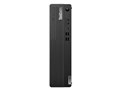ThinkCentre M75s Small Gen 5 12T9S00B00