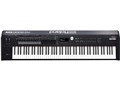 Stage Piano RD-2000 EX