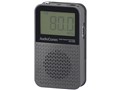 AudioComm RAD-P140N