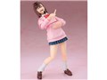 S.H.Figuarts ����
