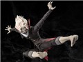 S.H.Figuarts �I�J����(�ϐg)