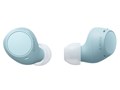 WF-C510 (L) [u[]̐i摜