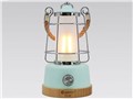 LED�L�����v�����^�� DS-8E-MGN [�~���g�O���[��]