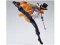 S.H.Figuarts �T�{ -�v���R�Q�d����-