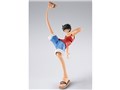 S.H.Figuarts �����L�[�ED�E���t�B -�`���̖閾��- �S���S���̃I�v�V�����p�[�c�Z�b�g