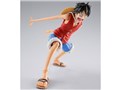 S.H.Figuarts �����L�[�ED�E���t�B -�`���̖閾��- �S���S���̃I�v�V�����p�[�c�Z�b�g