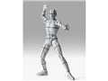 S.H.Figuarts �{�f�B���� -�X�|�[�c- Edition -���C���[�t���[��-(Gray Color Ver.)