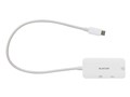 DST-C31WH [�z���C�g]