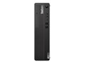 ThinkCentre M70s Small Gen 5 12U20003JP