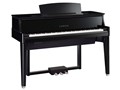 AvantGrand N1X [���ʉ��o���d�グ]