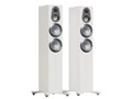 Gold 300 6G GOLD 300 6G SW [Satin White �y�A]