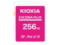 EXCERIA PLUS KLNPAE256G [256GB]