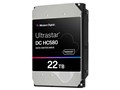 WUH722422ALE6L4 [22TB SATA600 7200]