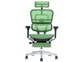 Ergohuman PRO2 ottoman EHP2-LPL-DR-BF-GN [�O���[��]