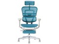 Ergohuman PRO2 ottoman EHP2-LPL-DR-GF-BL [�u���[]