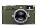 CJM11-P Safari {fB [I[uO[]
