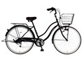 �J�W�����[ �����b�N�X BAA-Q 24 6�i�ϑ� �_�C�i�����C�g [�}�b�g�u���b�N]