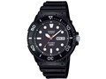 CASIO Collection STANDARD MRW-230HJ-1E1JF