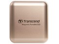 TS1TESD420G [�V�����p���S�[���h]