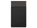 HERITAGE KLIPSCHORN AK7 [BLACK ASH �P�i]