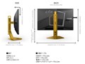 AGON CS24A/P/11 [24.1�C���` Black&Gold]