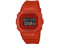 G-SHOCK DW-5600RRB-4JF