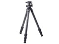 Carmagne N543 MT (A70)
