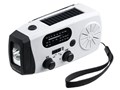 800-LED100 [�z���C�g]