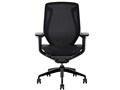 AIMchair Pro ���b�V���E�w�b�h���X�g���� ACP-M [�}�b�g�u���b�N]