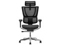 Ergohuman FIT2 FIT2-HAM-DR-BF-BK [�u���b�N]
