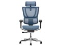 Ergohuman FIT2 FIT2-HAM-DR-BF-BL [�u���[]