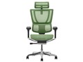 Ergohuman FIT2 FIT2-HAM-DR-BF-GN [�O���[��]