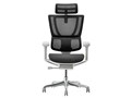 Ergohuman FIT2 FIT2-HAM-DR-GF-BK [�u���b�N]