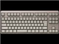 REALFORCE R4 R4HC91 [���^���b�N�u���E��]
