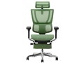 Ergohuman FIT2 Ottoman FIT2-LPL-DR-BF-GN [�O���[��]
