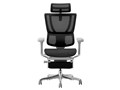 Ergohuman FIT2 Ottoman FIT2-LPL-DR-GF-BK [�u���b�N]