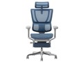 Ergohuman FIT2 Ottoman FIT2-LPL-DR-GF-BL [�u���[]