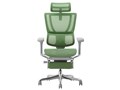 Ergohuman FIT2 Ottoman FIT2-LPL-DR-GF-GN [�O���[��]
