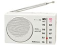 AudioComm RAD-H100N [�z���C�g]