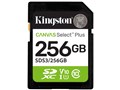 SDS3/256GB [256GB]