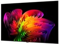 OLED83W6PJA [83�C���`]