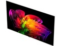 OLED83W6PJA [83�C���`]